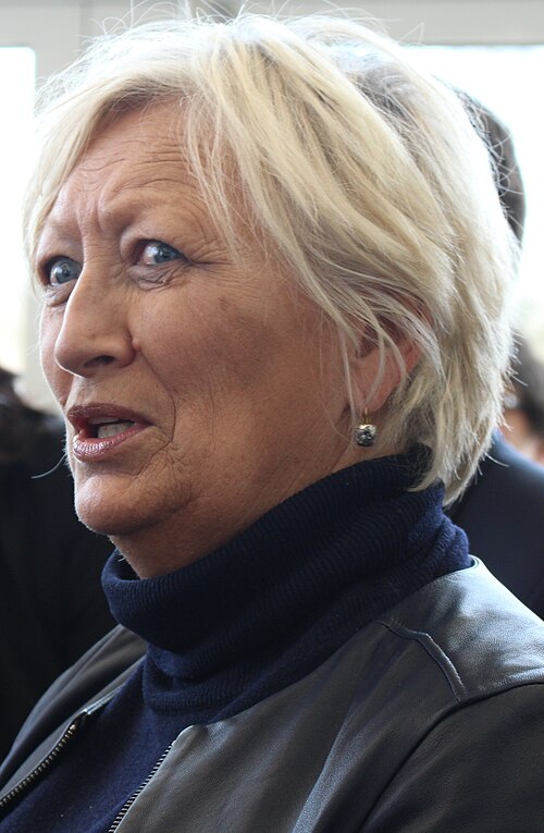 Portrait de Catherine Morin-Desailly