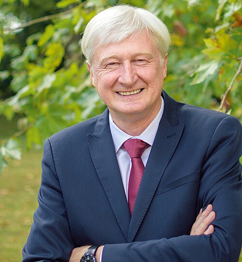 Portrait de Dominique Le Mèner