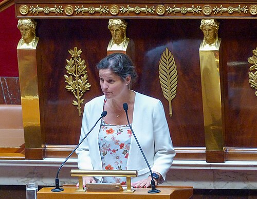 Portrait de Élisabeth de Maistre