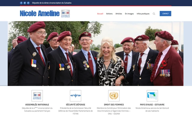 Capture du site Nicole Ameline — Site personnel · archive